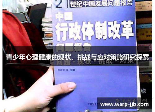 青少年心理健康的现状、挑战与应对策略研究探索