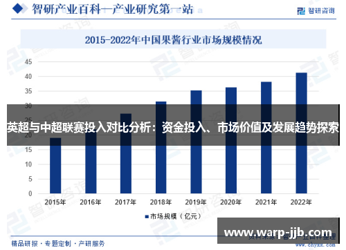 英超与中超联赛投入对比分析：资金投入、市场价值及发展趋势探索