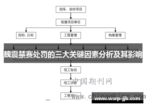 魏震禁赛处罚的三大关键因素分析及其影响