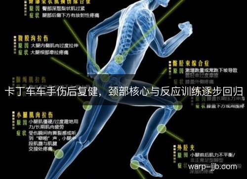 卡丁车车手伤后复健,颈部核心与反应训练逐步回归 卡丁车车手伤后复健,颈部核心与反应训练逐步回归